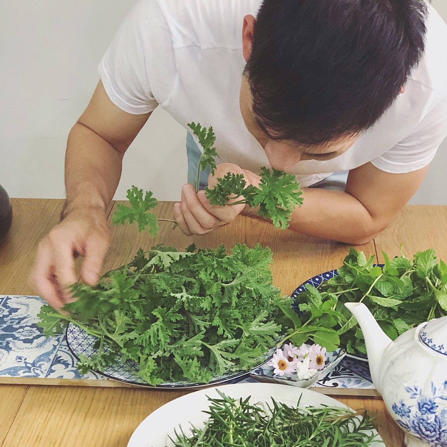 【體驗】花草茶入門課程/栽種+採摘+製茶/2人成行