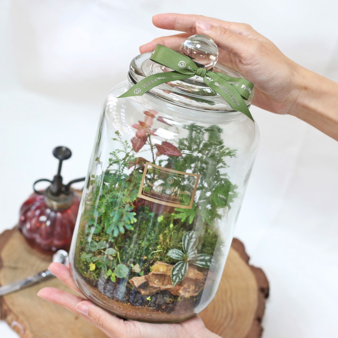 生態瓶DIY