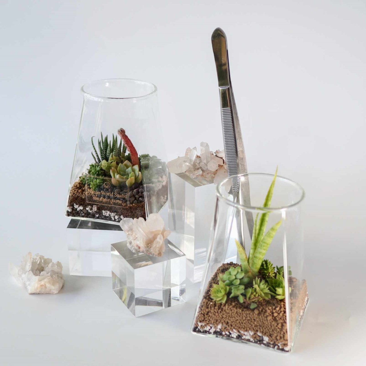 【體驗】沙漠生態植物瓶