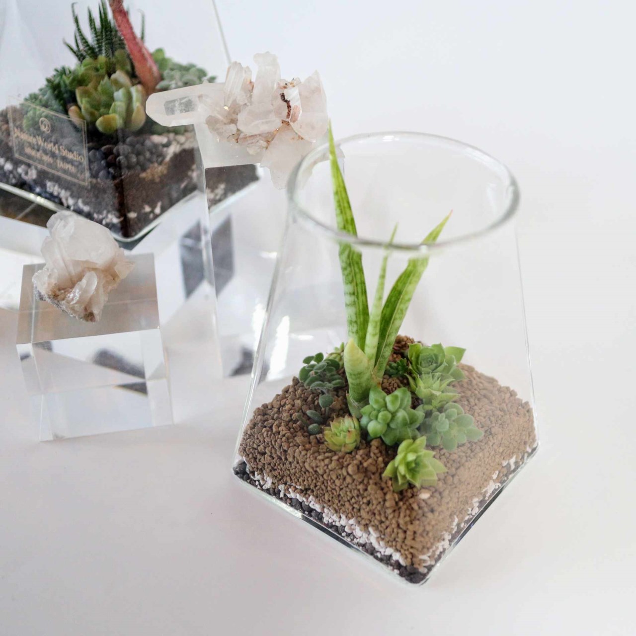 【體驗】沙漠生態植物瓶