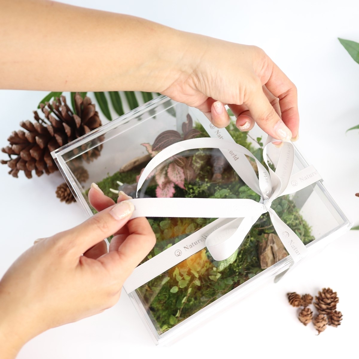 【體驗】大地永續生態禮物盒