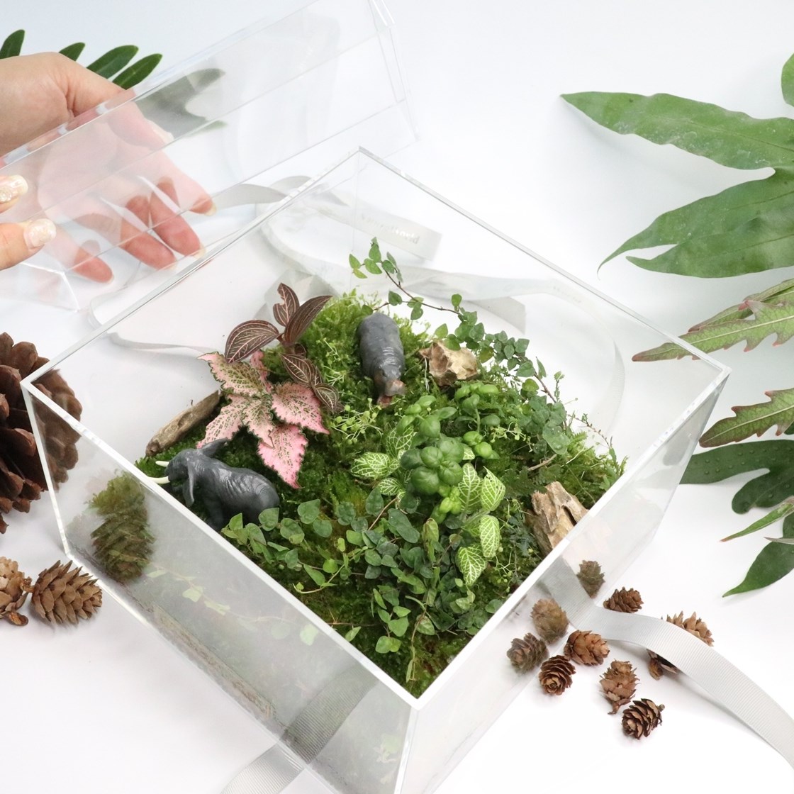 【體驗】大地永續生態禮物盒