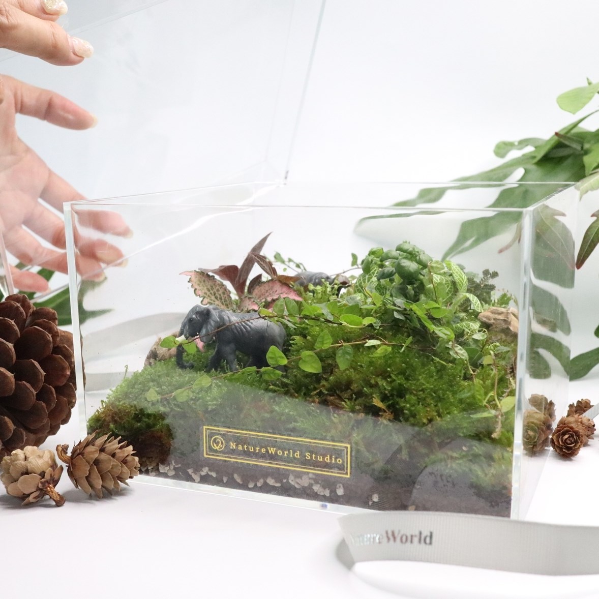 【體驗】大地永續生態禮物盒