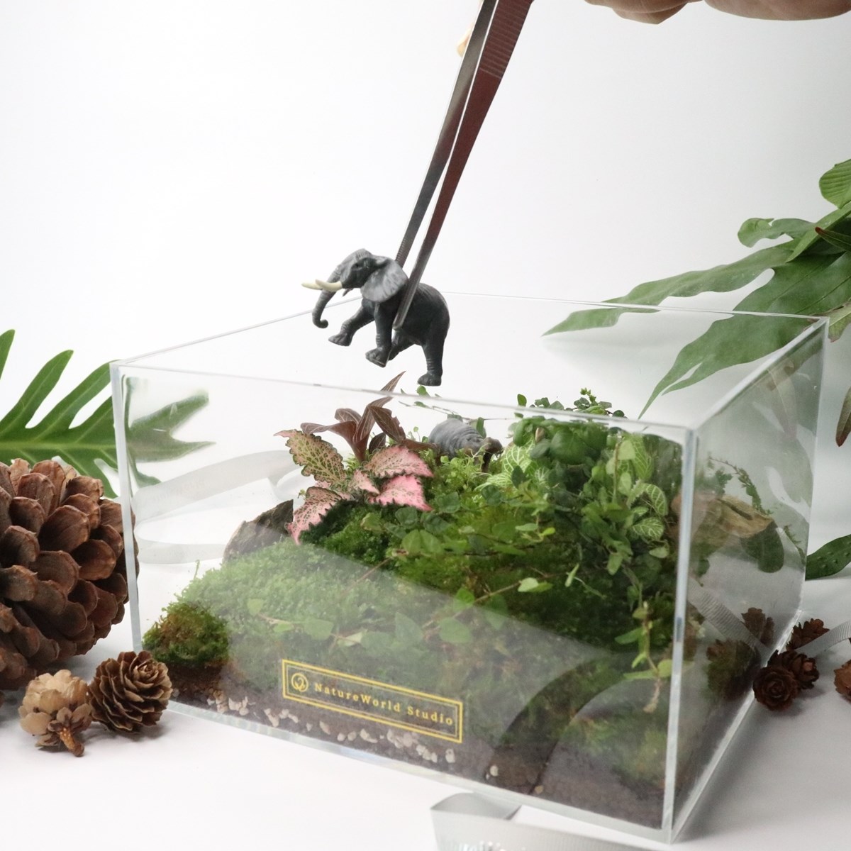 【體驗】大地永續生態禮物盒