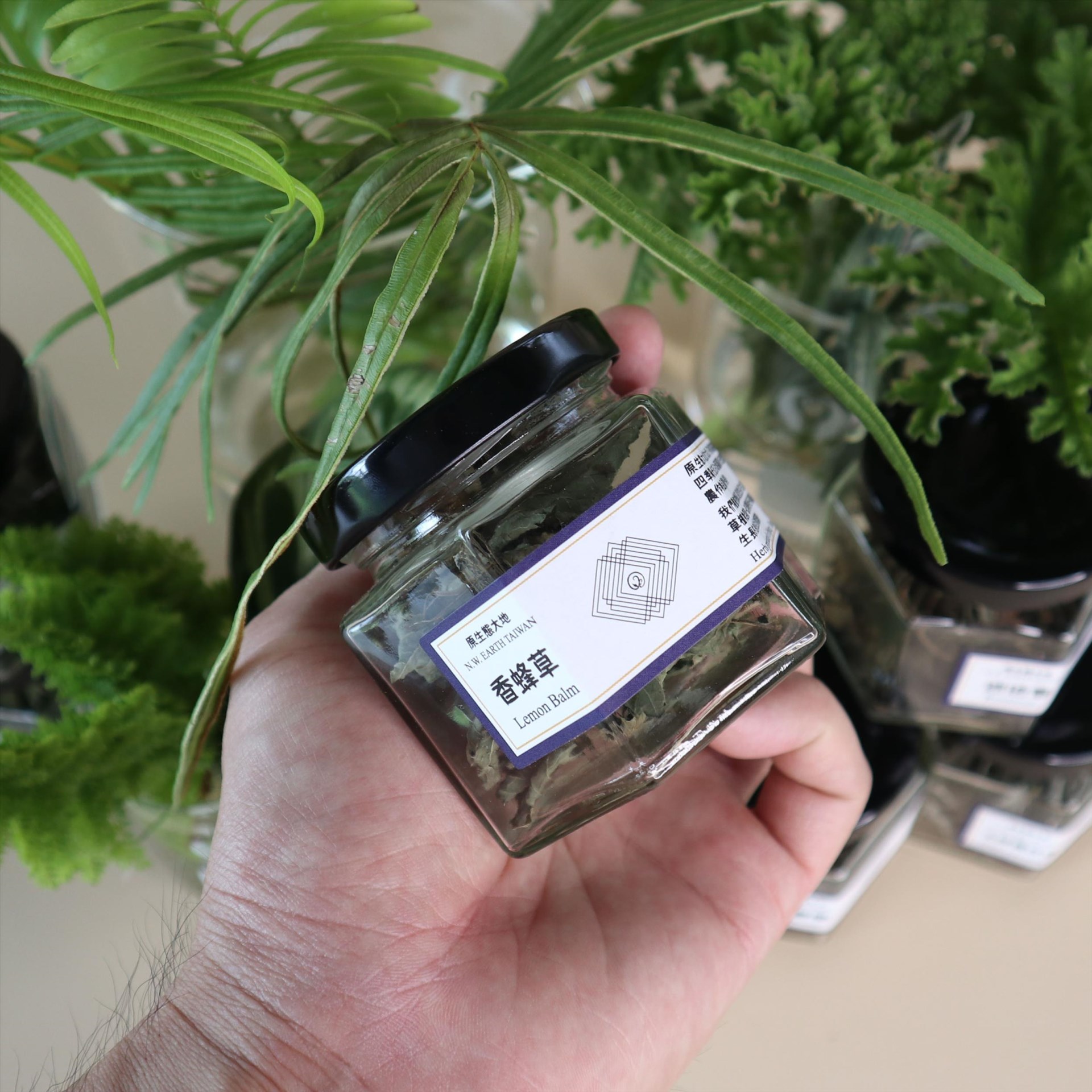 原生態大地香草茶/9款/台灣手工茶