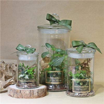 【體驗】永續植物生態瓶/水循環奧秘+生態瓶製